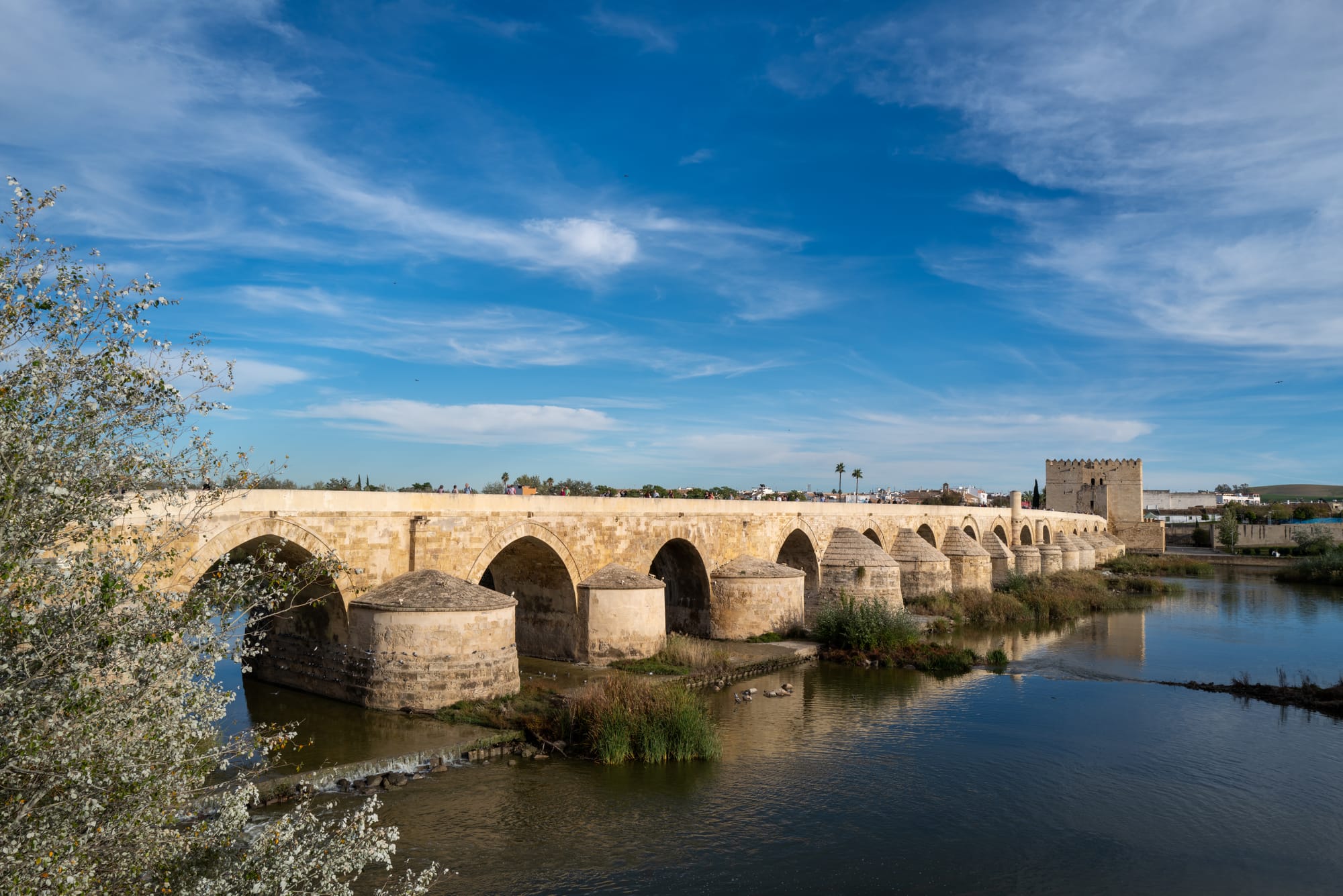 Spain 2023 Part Four: Córdoba