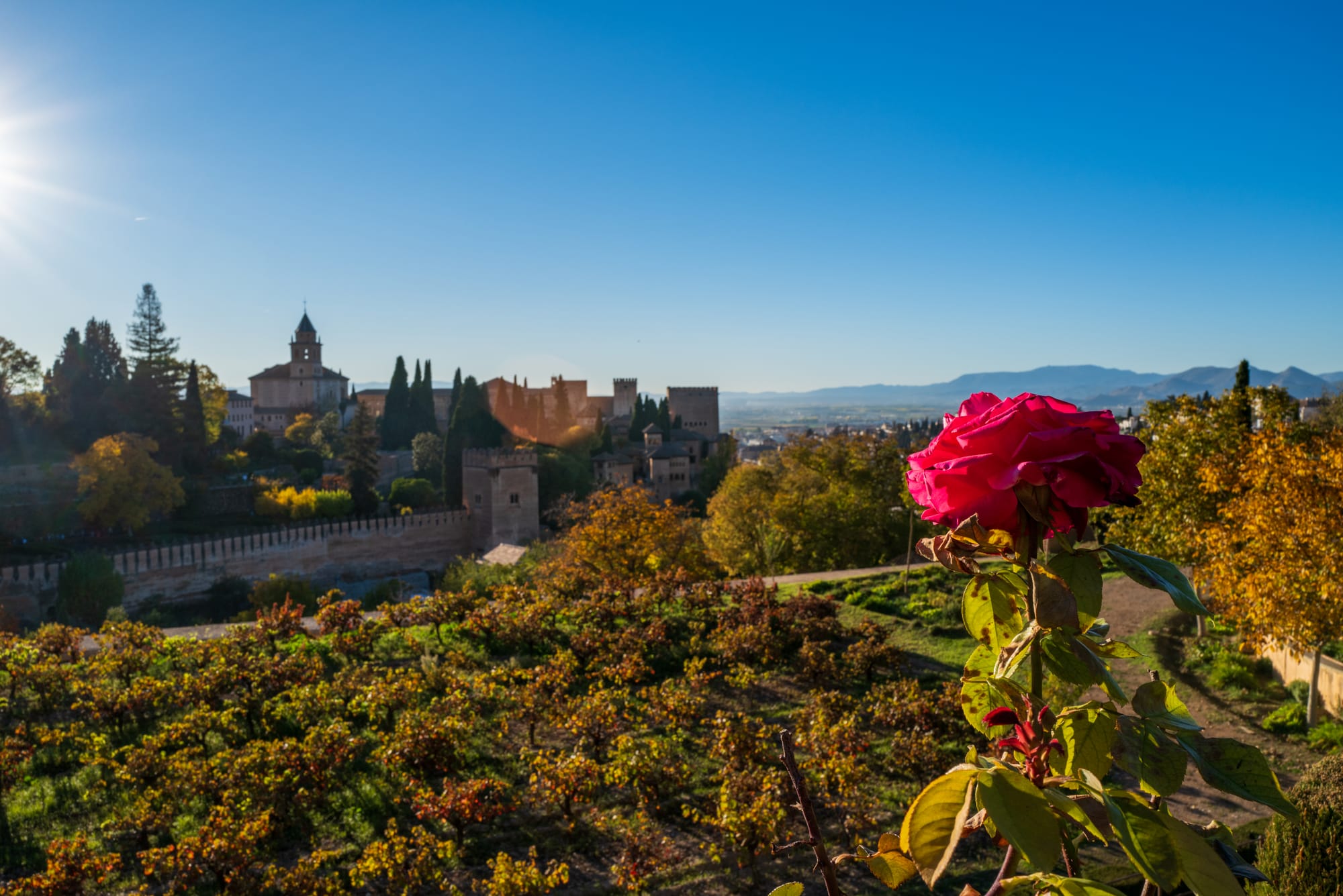 Spain 2023 Part Five: The Alhambra